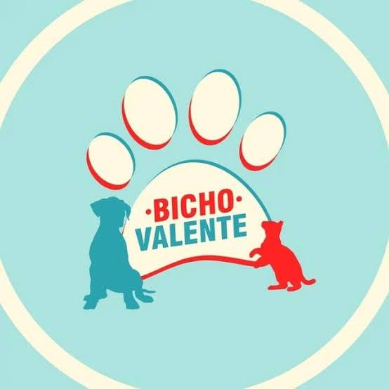 Bicho Valente - Foto 1