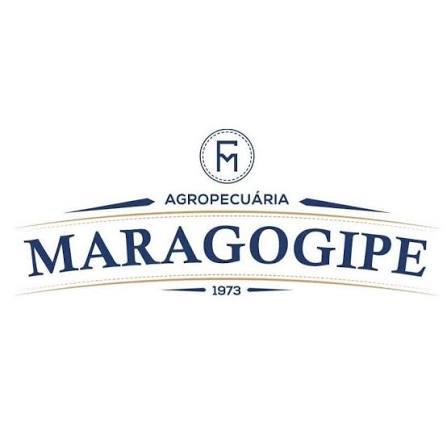 Fazenda Maragogipe - Foto 1